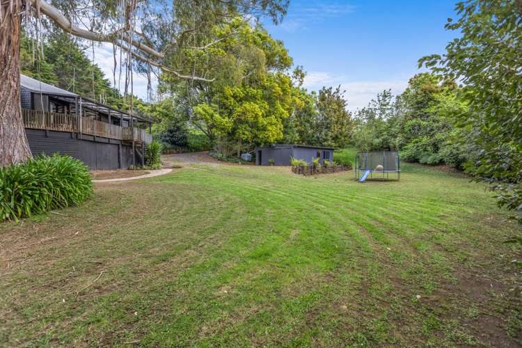 62 Lowe Road Whakamarama_6