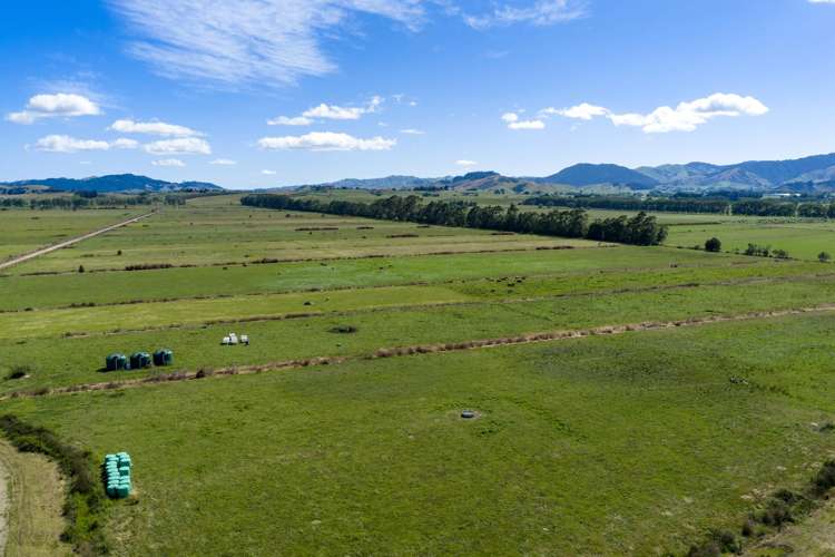 331 Kneebone Road Orini_18