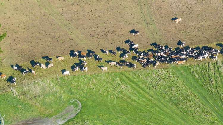 285 Grassmere Road Lake Grassmere_26