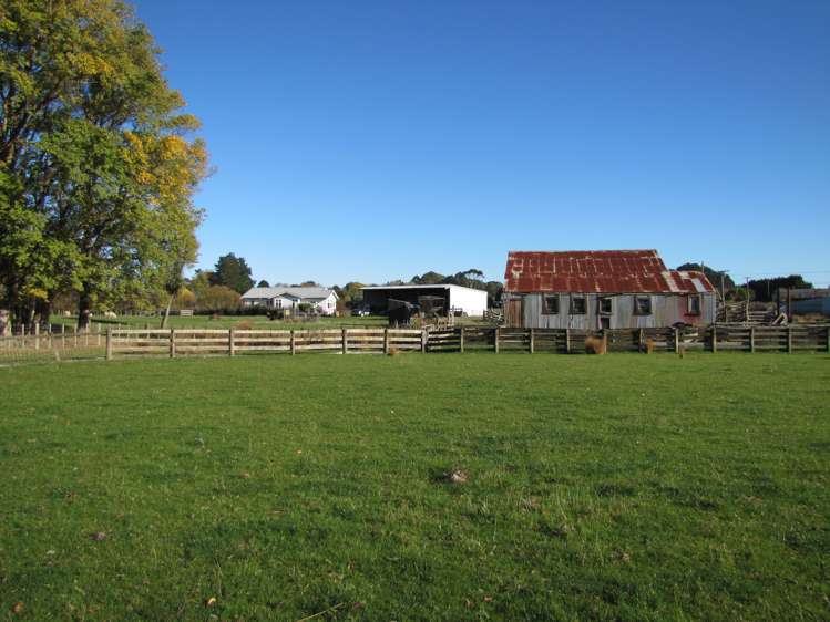 171 Awahuri Feilding Road Feilding_9