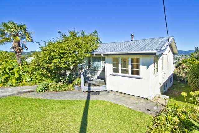 41 Pleasant Road Glen Eden_1