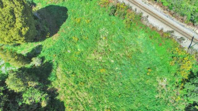 1946 Arnold Valley Road Moana_2