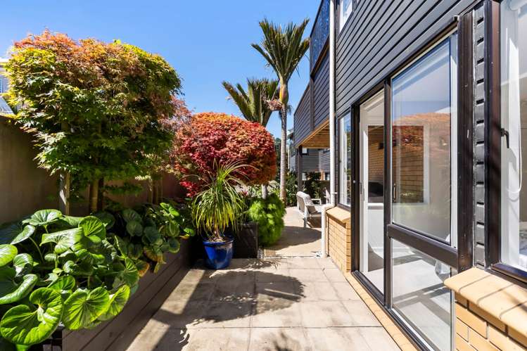 43B The Parade St Heliers_15