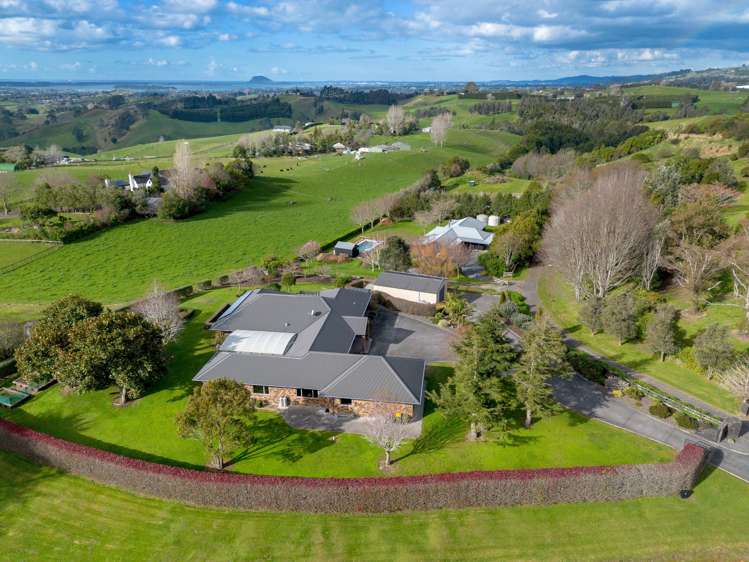 535 Esdaile Road Whakamarama_30