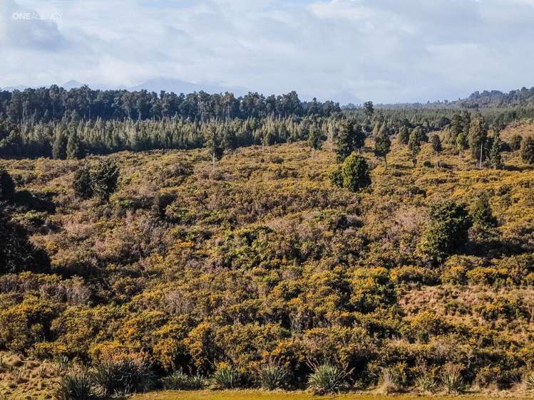 1128 Woodstock-Rimu Road_0