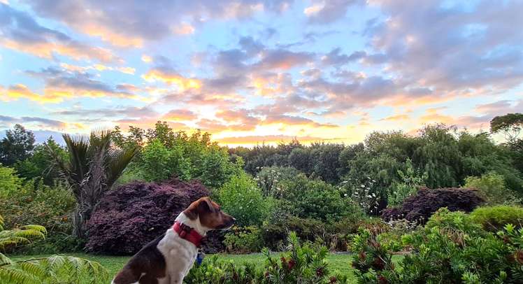 68 Wiroa Road Kerikeri_28