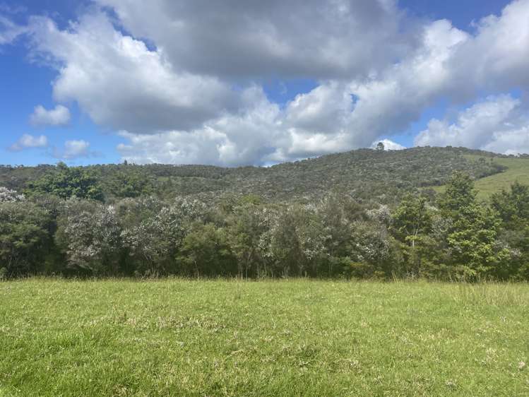 4321 State Highway 1 Mangamuka_26