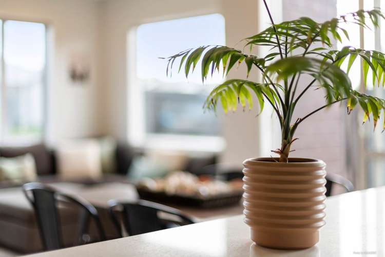 32 Rainsford Road Pukekohe_7