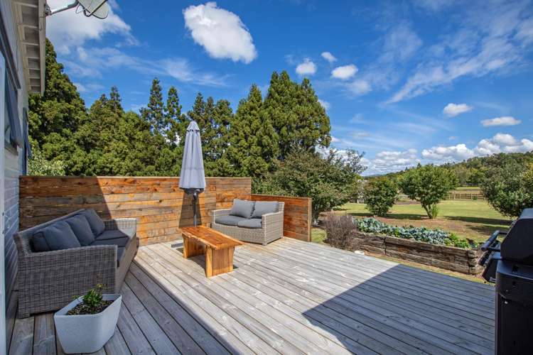 133 Apotu Road Kauri_9