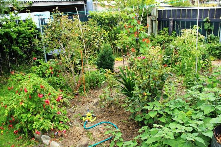 34 Harbour Street Foxton_15