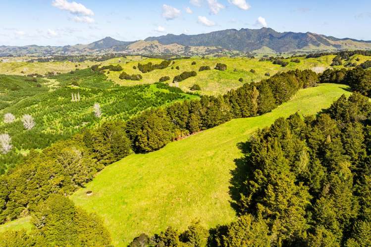 Baker Road Maungatapere_4