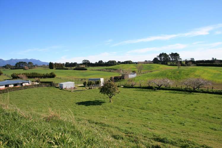 1758 Mountain Road Inglewood_16