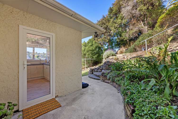 51 Buccleugh Street North East Valley_18