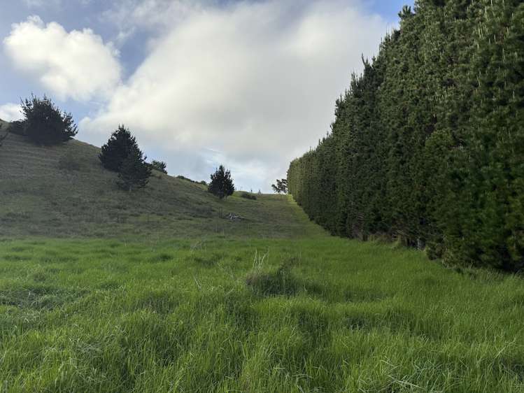 3146 Far North Road Pukenui_16