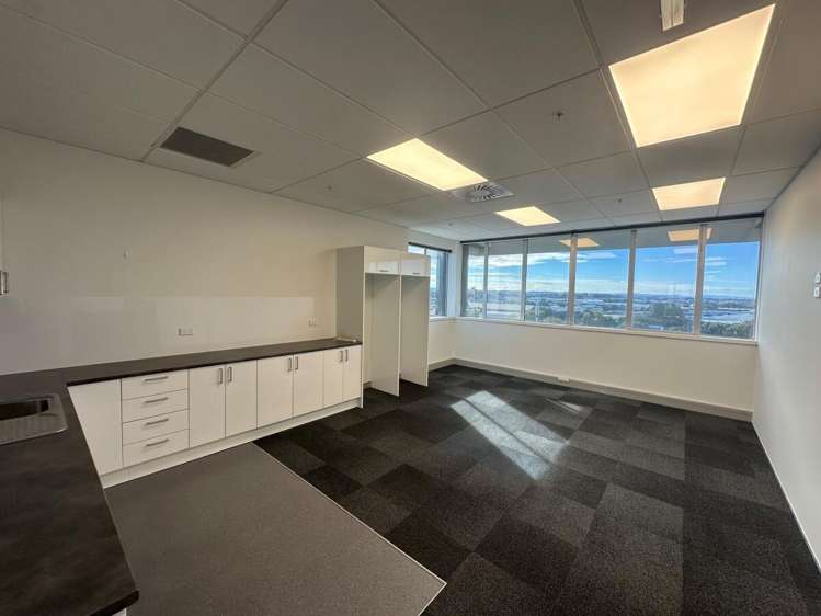 45 O'Rorke Road Penrose_4