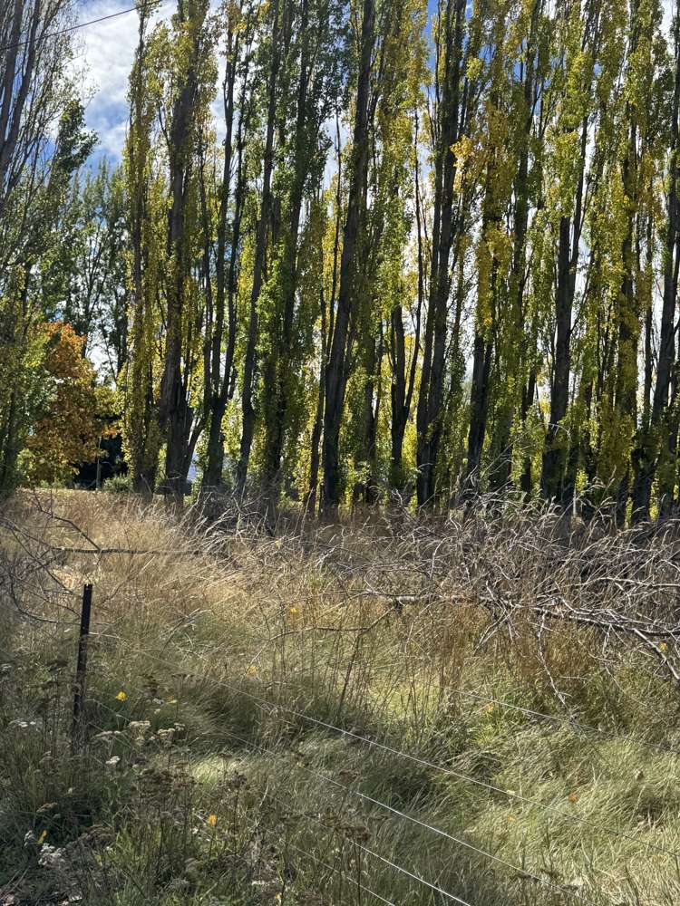 3 Omarama-Lindis Pass Road Omarama_14