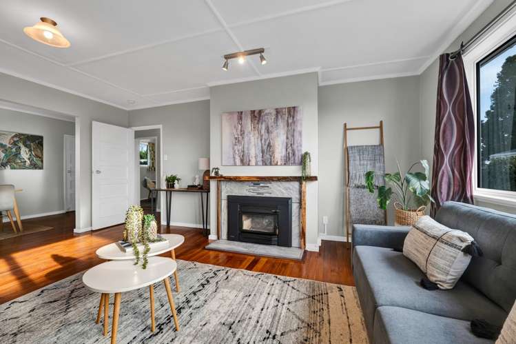 18 Drake Street Vogeltown_5