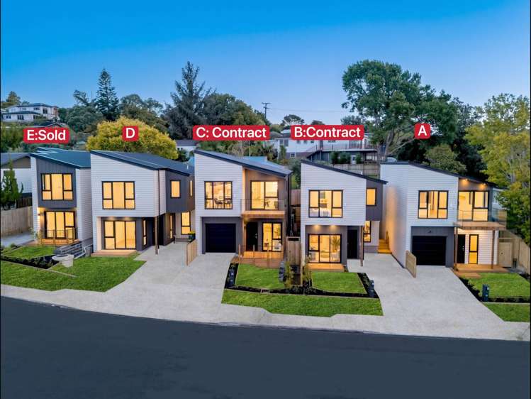 3D Terra Nova Street Glen Eden_1