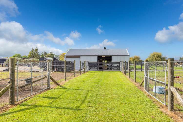 35 Taplin Road Matangi_25