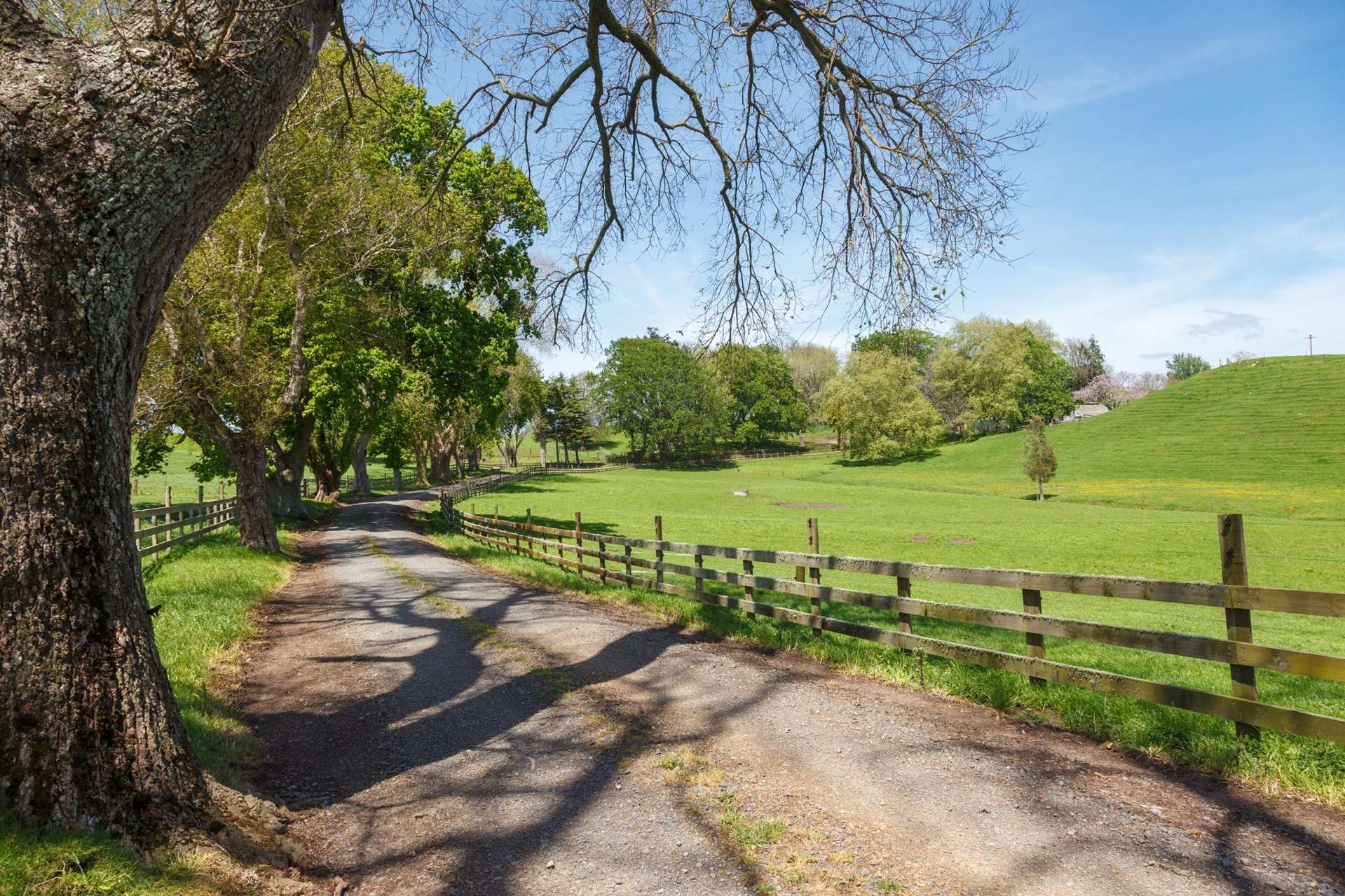 835 Buckland Road Karapiro_0