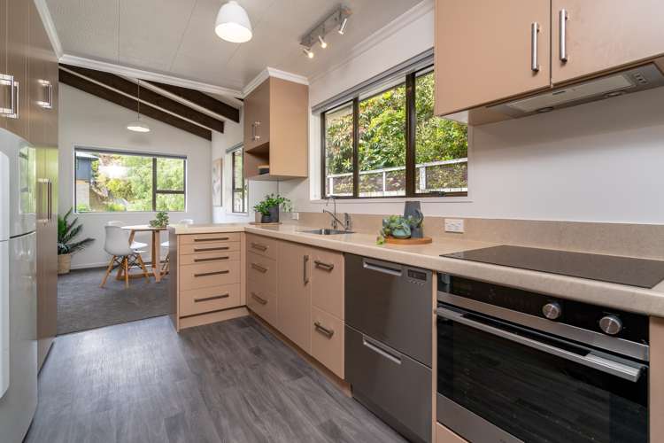 161 Scott Street Waverley_6