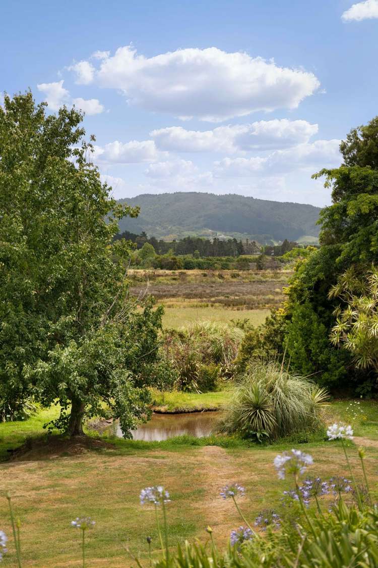 18c Binnie Road Katikati_13