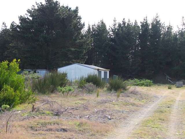 30 Sandown Avenue Himatangi Beach_1