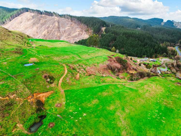 3789 State Highway 4 Ongarue_30