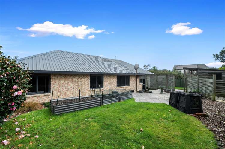 31a Lynmore Avenue Lynmore_12