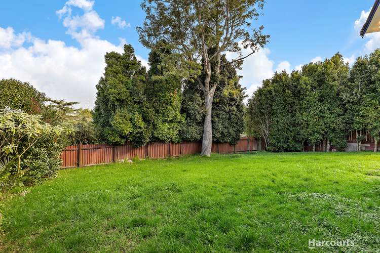 40a Vina Place Massey_16