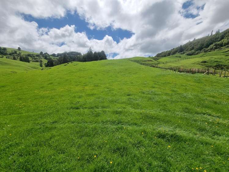 Lot (Rural)/1246 State Highway 3 Piopio_21