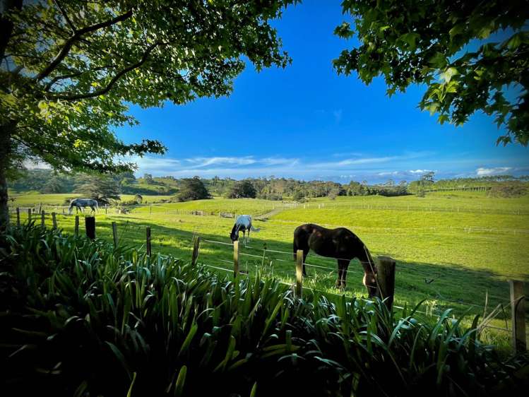 1320 Highway 22 Pukekawa_2