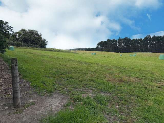 75 Kai Iwi Lakes Road Dargaville_1