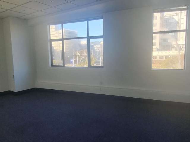 10 Courtenay Place Te Aro_3