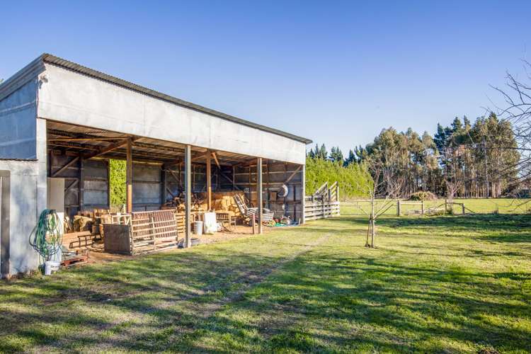 149 Oxford Road Fernside_16