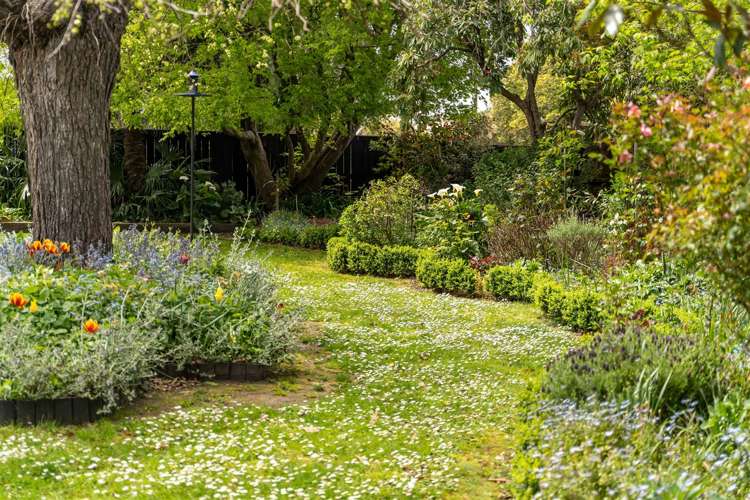 100 Colombo Road Masterton_3