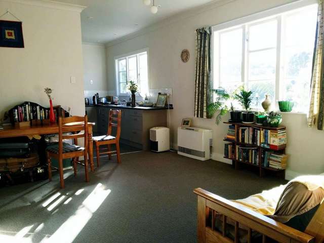 6A Semeloff Terrace Aro Valley_3