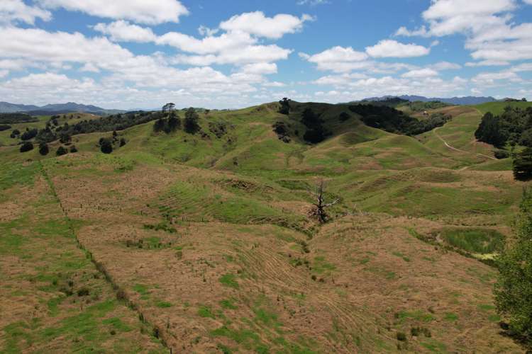 Pukehuia Road Arapohue_2