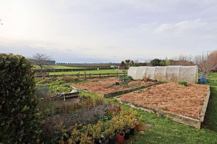 432a Lorne Dacre Road Roslyn Bush_38