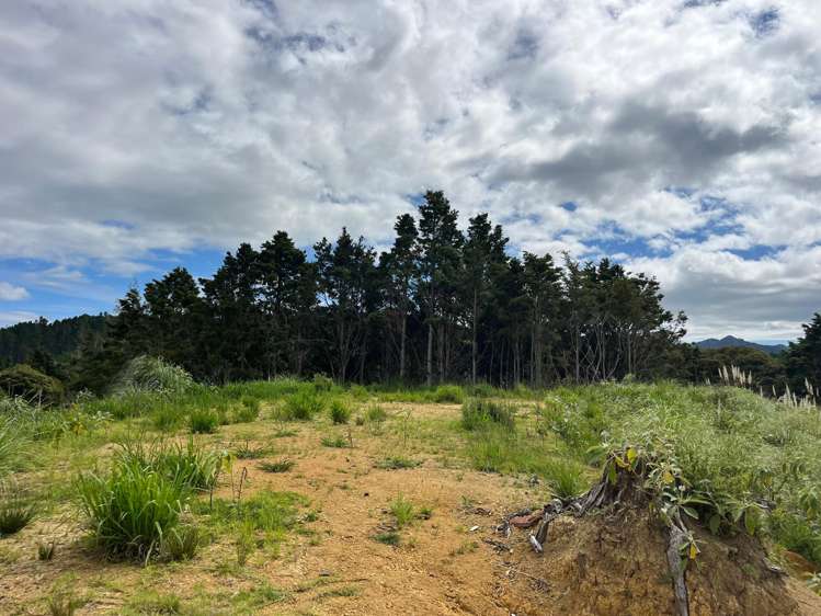 Lot 23 Waiotehue Road Herekino_16