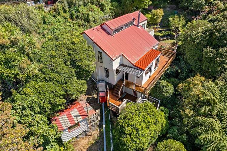 84A Mt Pleasant Road Aro Valley_14