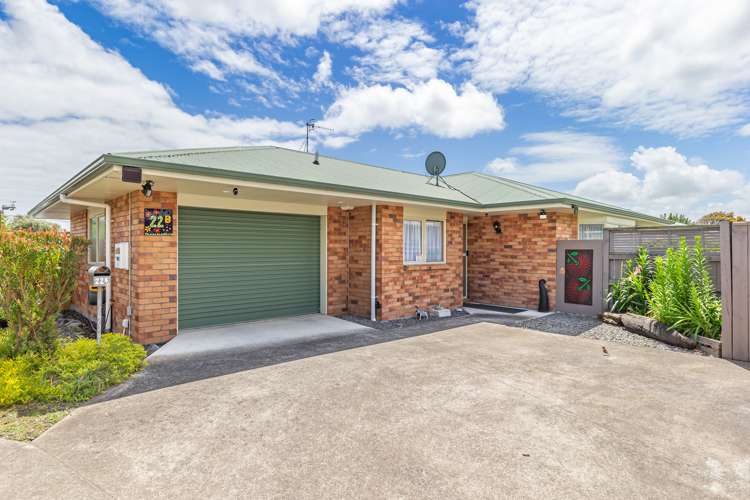 22b Reeve Street Levin_13