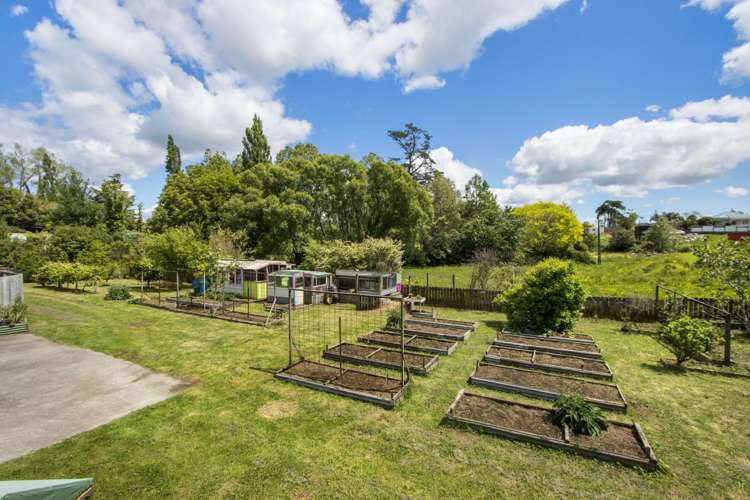 9 Wellington Street Waihi_14