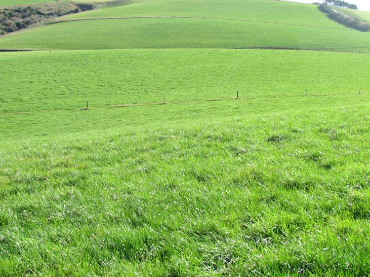 749 Woodslea Downs Road Wyndham Surrounds_13