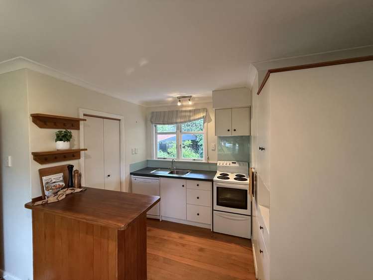 45 Alfred Street Roslyn_10