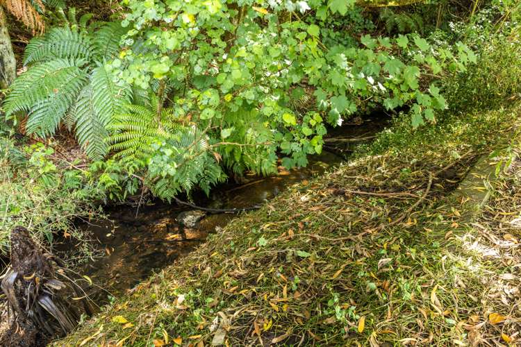 24 Govett Avenue Frankleigh Park_17