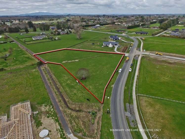 107 Birchwood Lane Tamahere_0