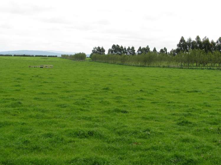 259 Teviotdale Road Otautau_5