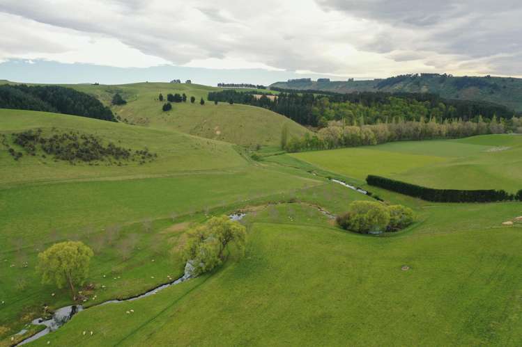 1201 Pareora River Road Maungati_21