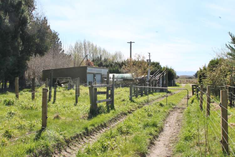 47 Munro Road Cheviot_16